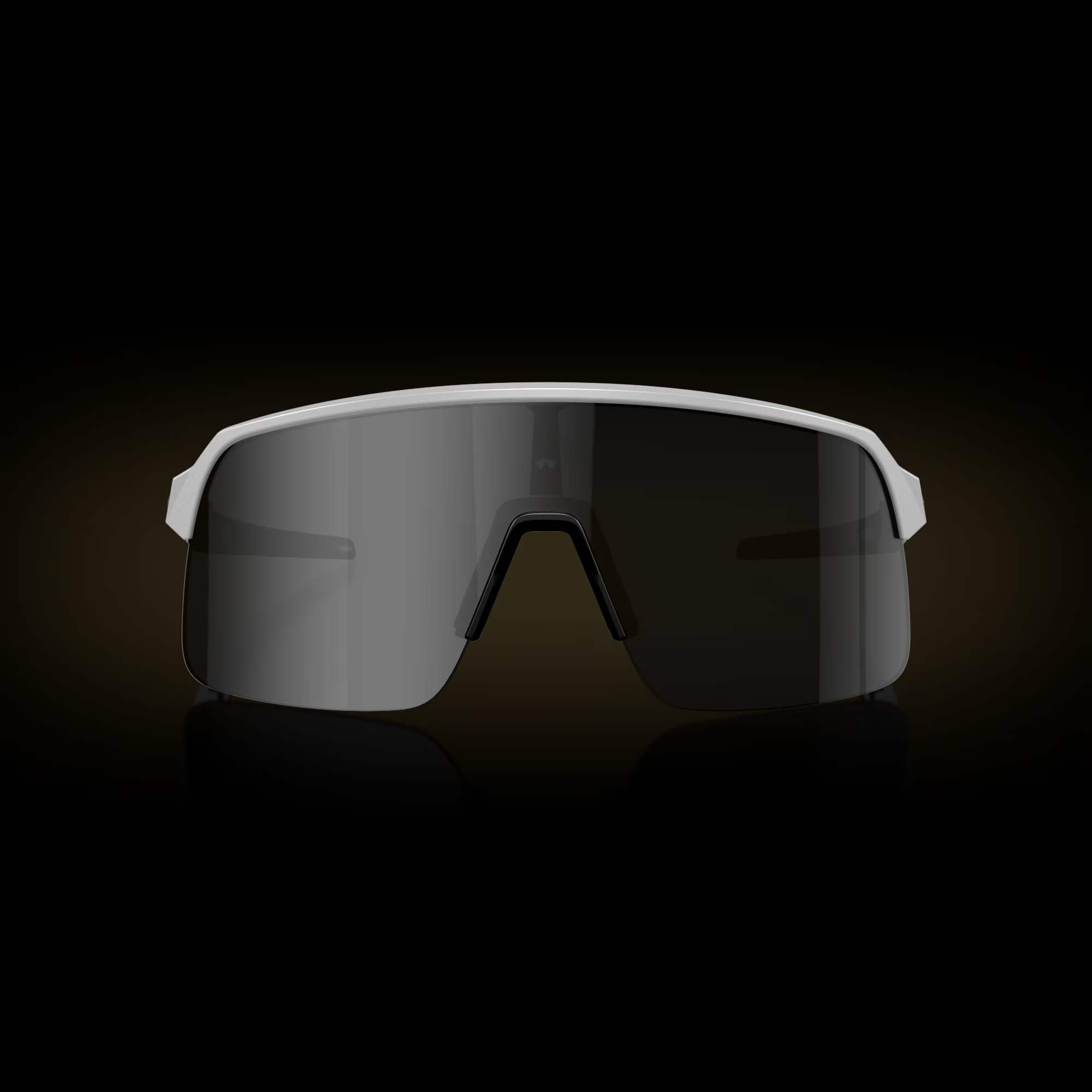 Bold Frame Fashion Shades